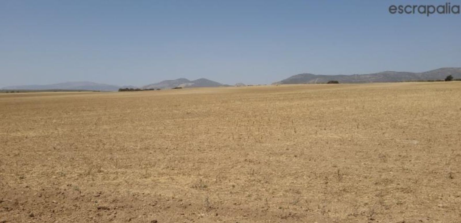 Sacan a subasta pública dos terrenos urbanizables en la provincia de Granada