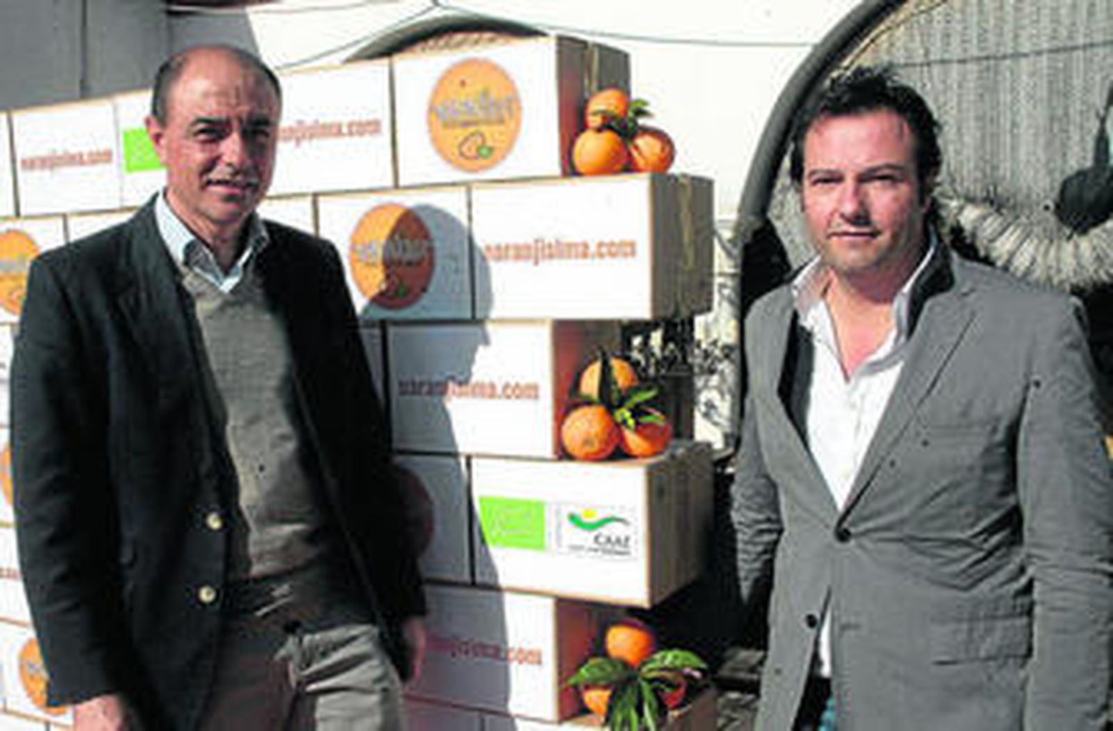 Crean una empresa de venta de naranja ecológica por internet