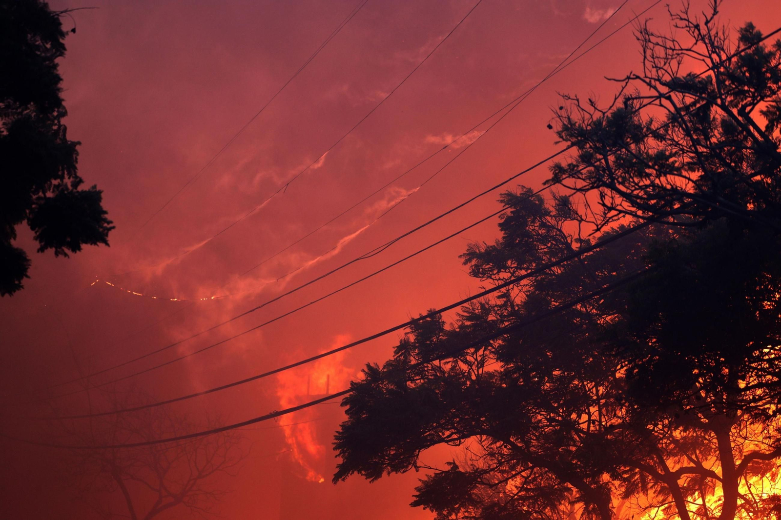 Las impactantes imágenes de los incendios de California