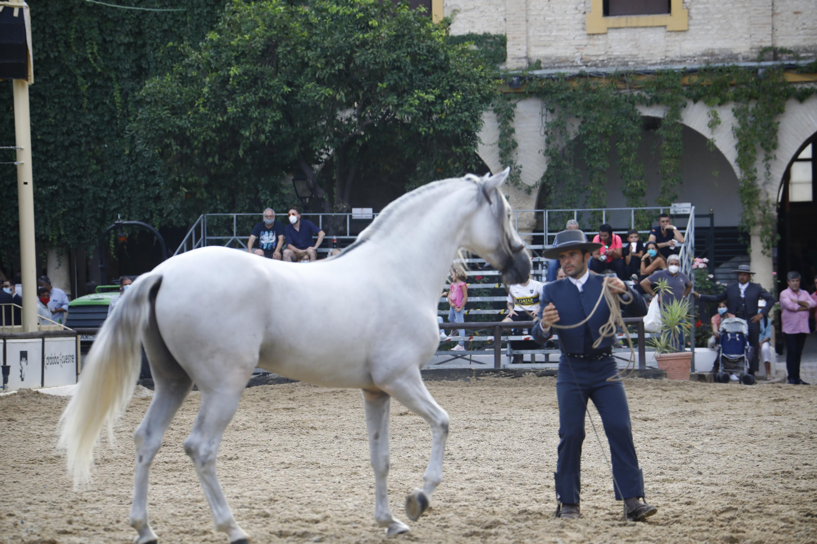 El concurso morfológico de caballos de pura raza de Cabalcor, en fotografías