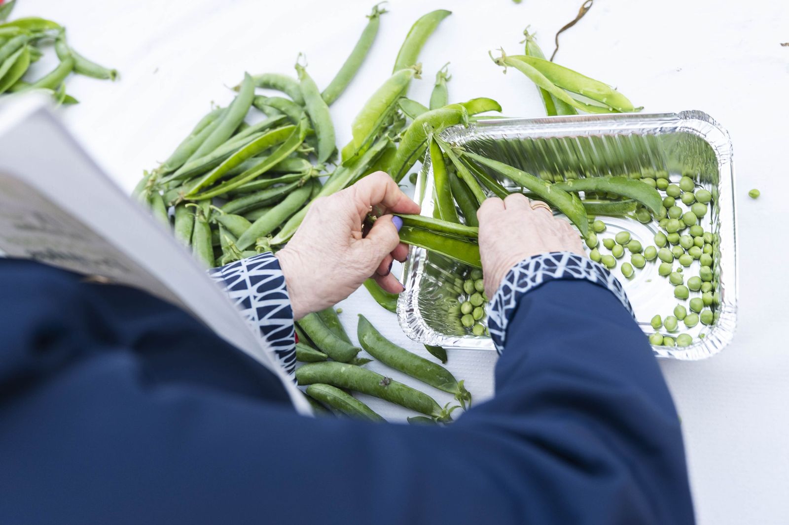 V Campeonato Mundial de desgrane de présules, en imágenes