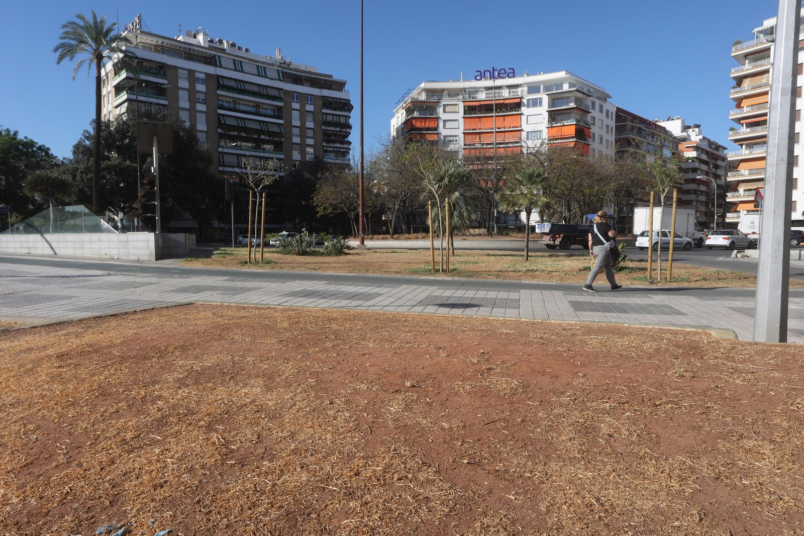 El barrio de Los Remedios, se seca