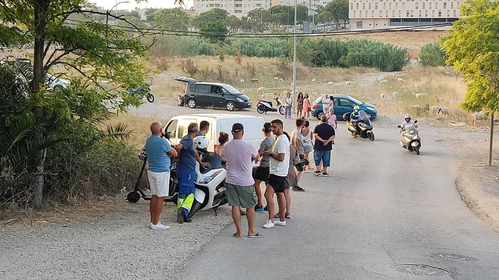 Incendio en Jerez: desalojos por precaución en el Serrallo y La Teja