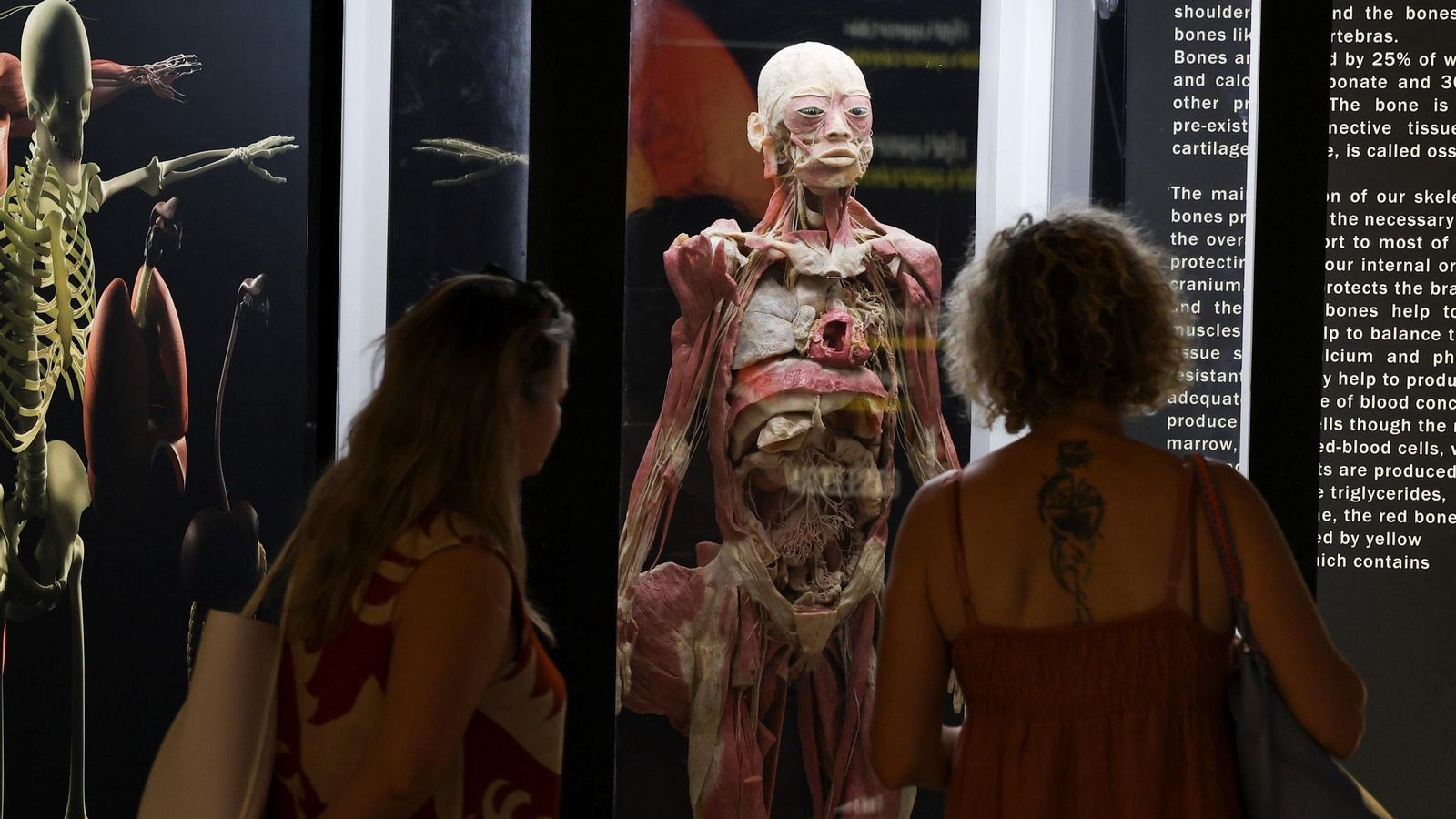 Dos mujeres observan con atención uno de los cuerpos expuestos. Dos mujeres observan con atención uno de los cuerpos expuestos.