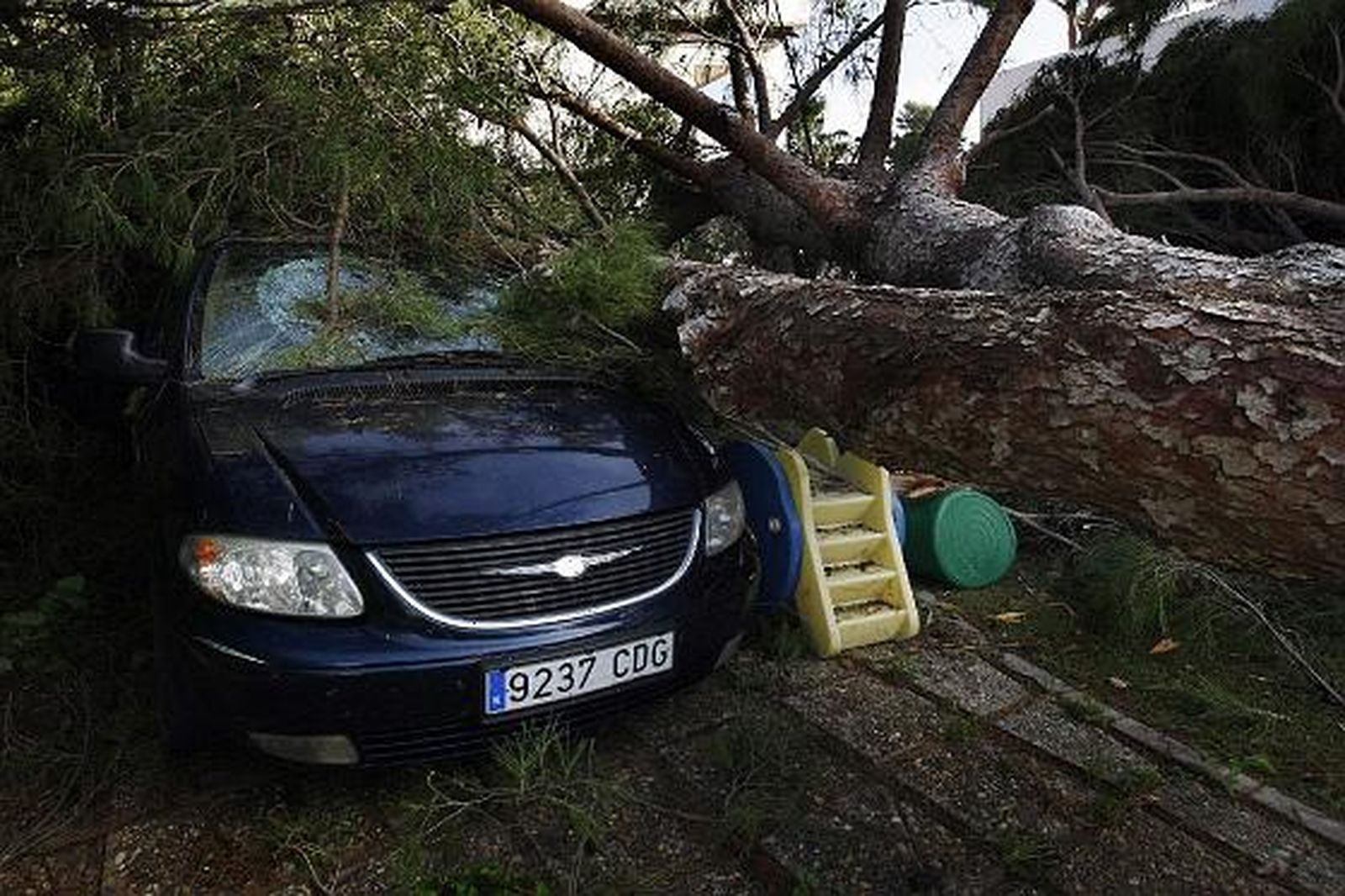 La lluvia y el viento causan múltiples destrozos en varias localidades de la provincia. 

Foto: Fito Carreto