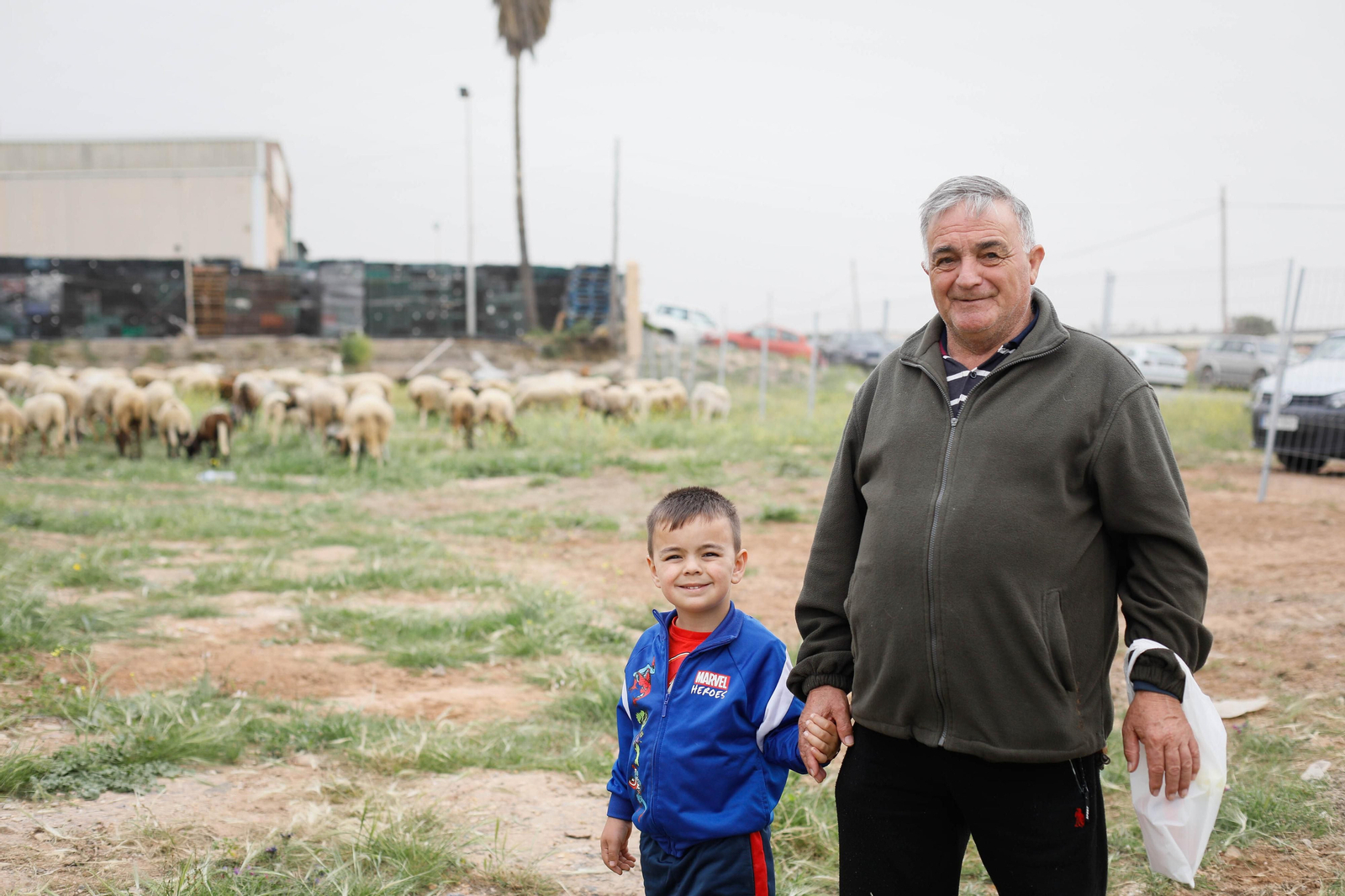 Galería de la Feria  de ganado en Tarambana