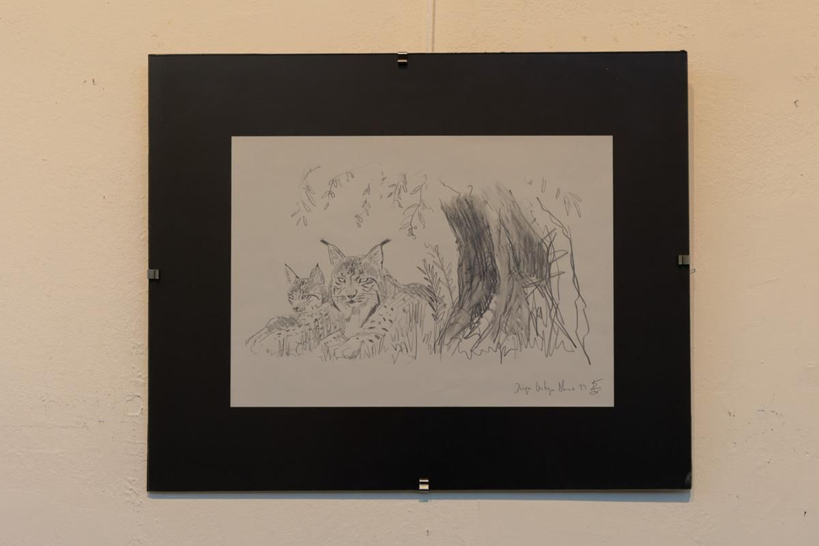 Exposición Los pinceles del lince ibérico, en imágenes