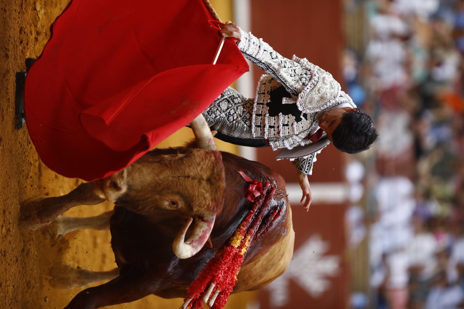 La corrida mixta de Diego Ventura, Morante de la Puebla y Pablo Aguado en Córdoba, en imágenes