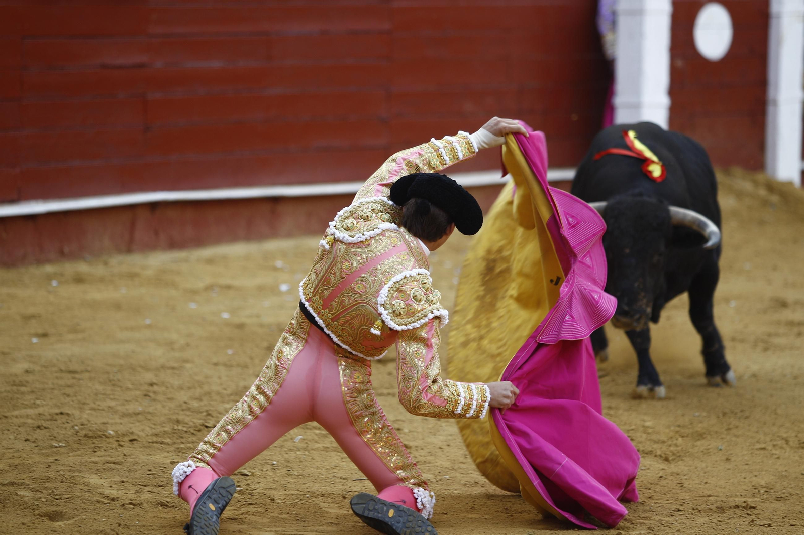 Imágenes de la novillada de la Feria de Almería 2025