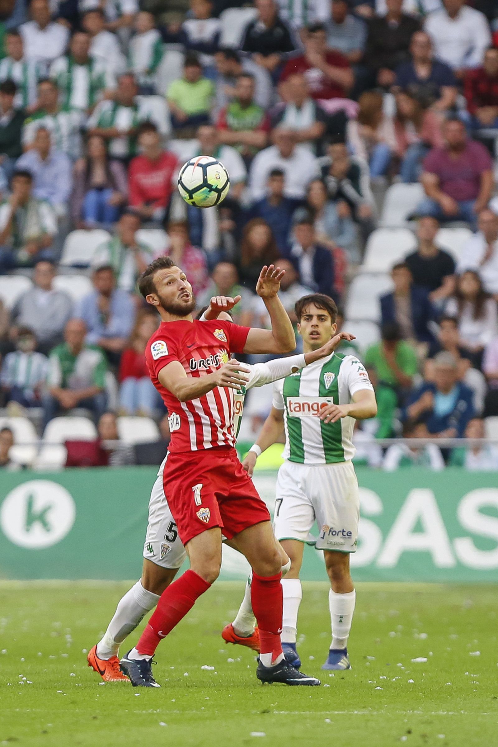 Las imágenes del Córdoba-Almería