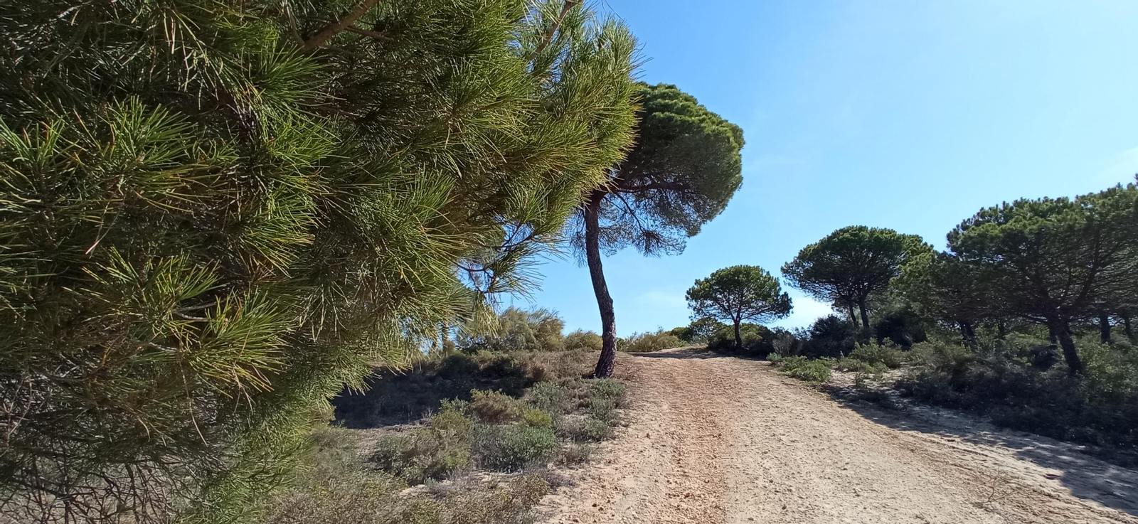 Las imágenes de la ruta de las salinas del Astur y los pinares de Punta Umbría