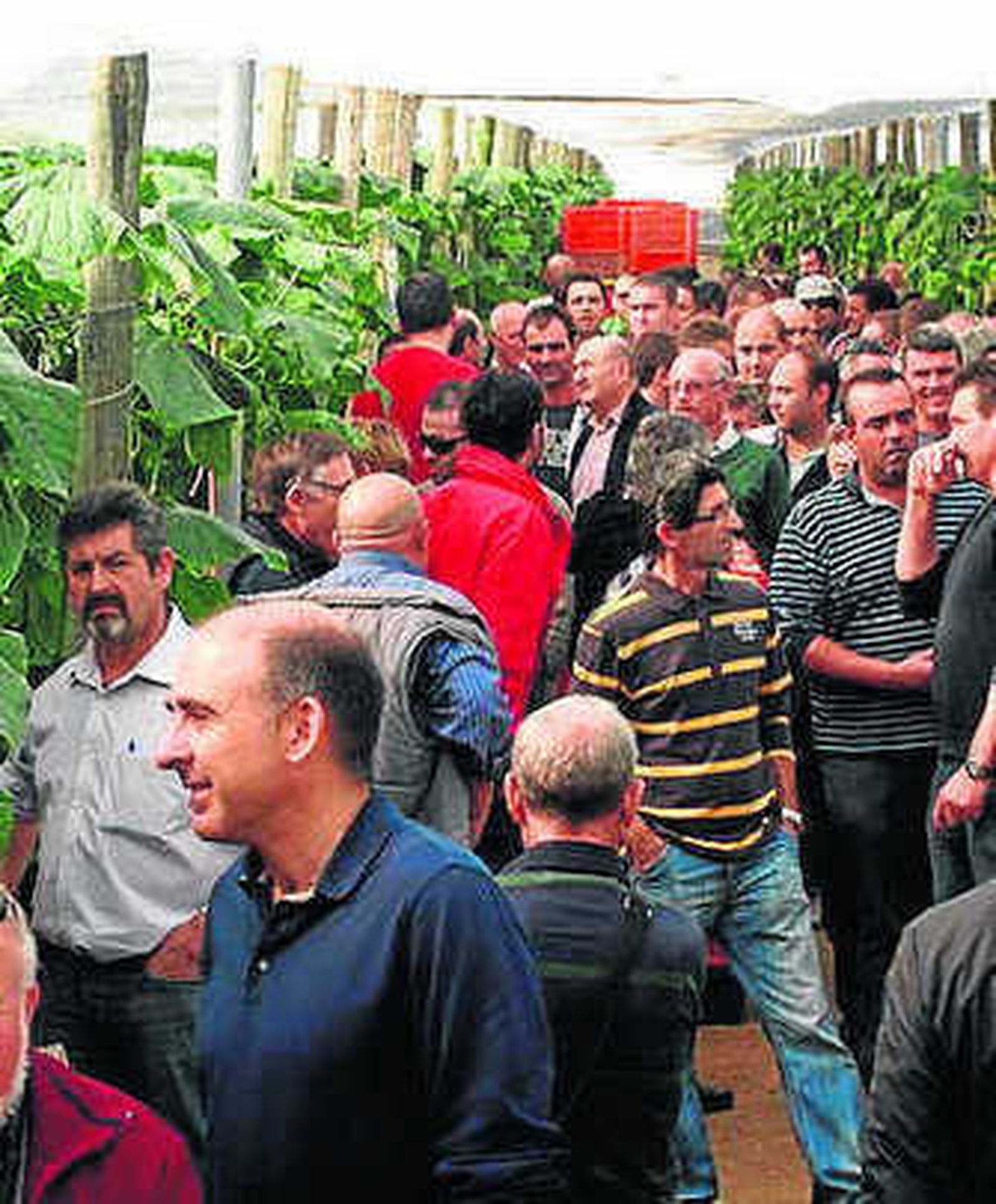 Jornada de Nunhems en Almería.