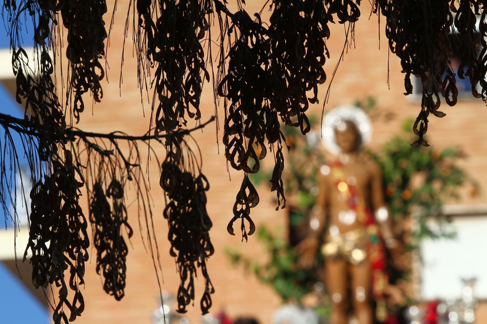 La procesión de San Sebastian en Imágenes.