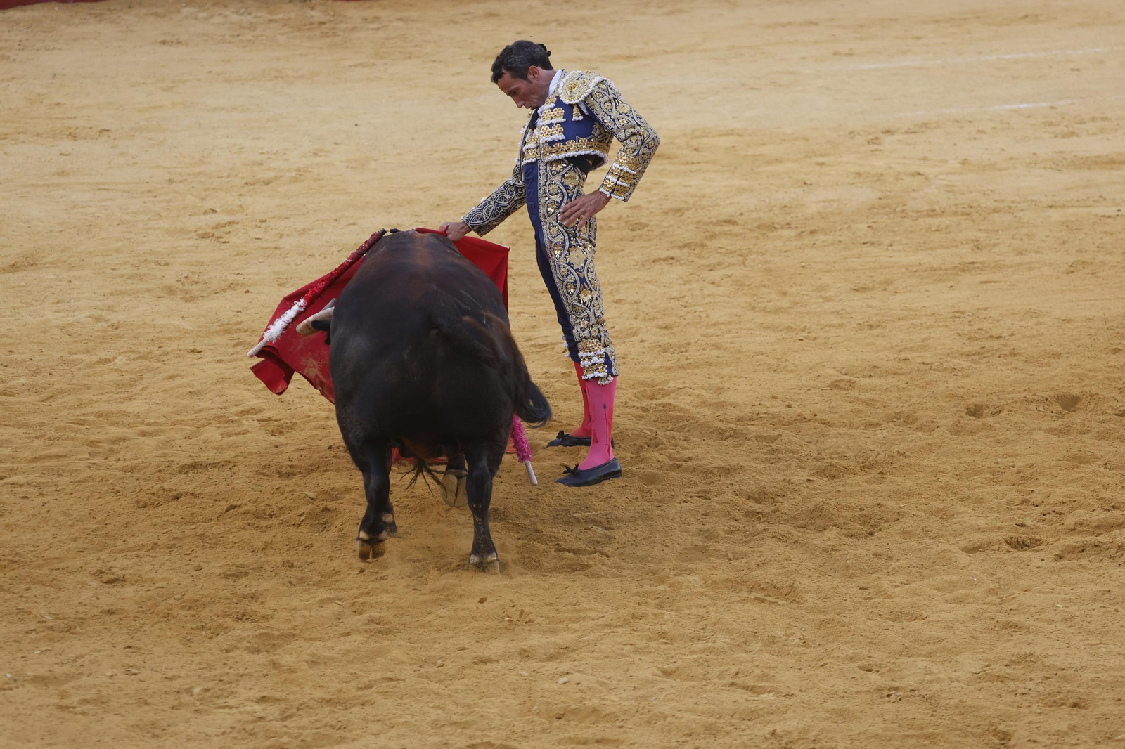 Las fotos de la corrida de toros de la Feria de San Roque