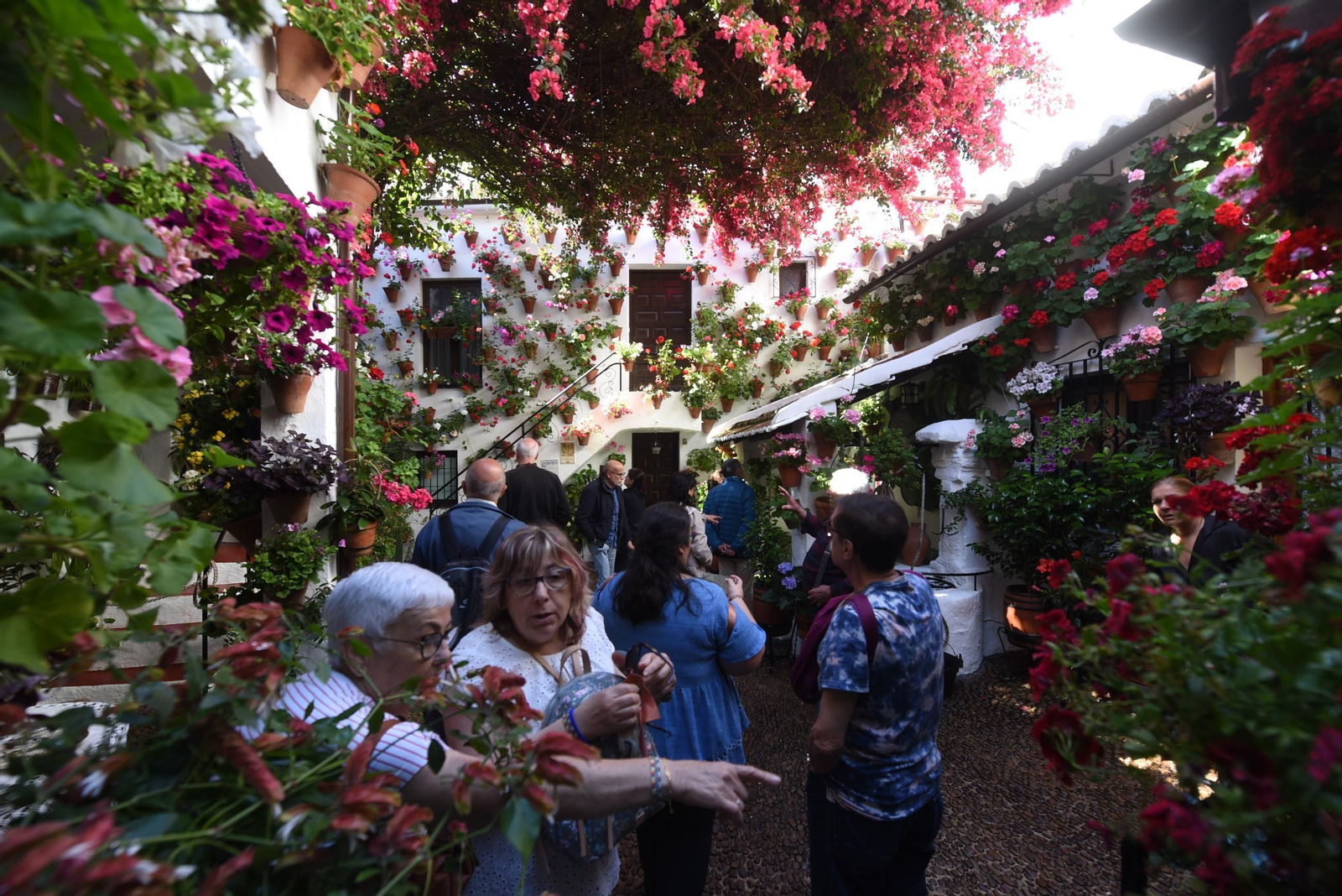 Los Patios de Córdoba de la Ruta del Alcázar Viejo, en imágenes