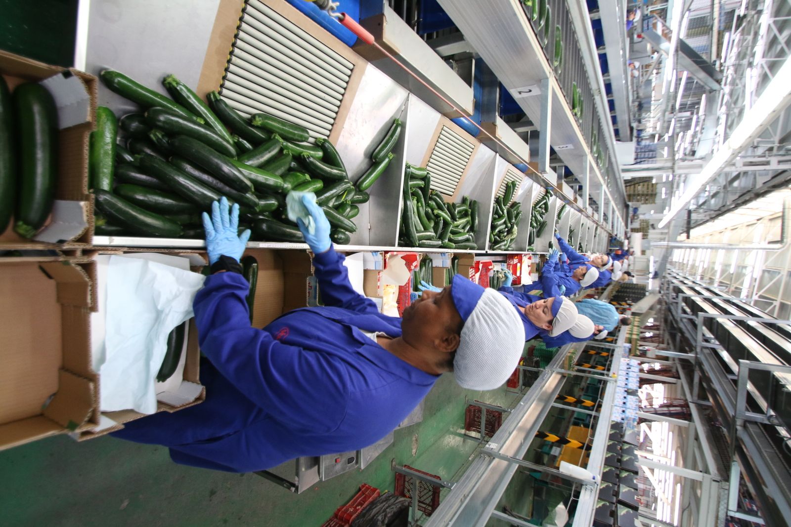 Las imágenes de la visita de Susana Díaz a Almería