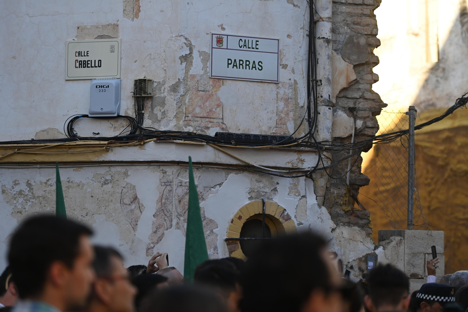 Las fotos de Pollinica en su procesión del Domingo de Ramos en Málaga