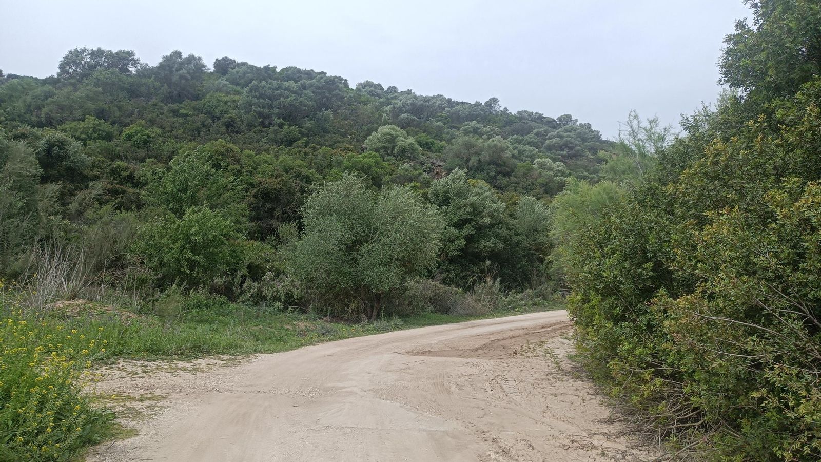 El carril es muy ancho. Si hace calor, esta ruta puede ser dura.