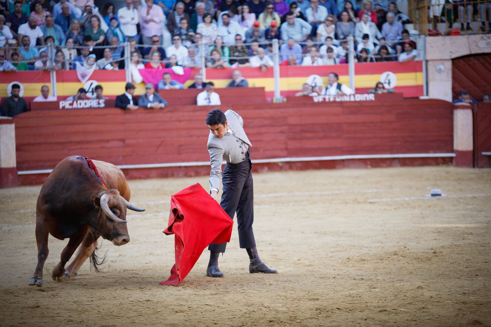 Imágenes del festival mixto lucha contra el cáncer