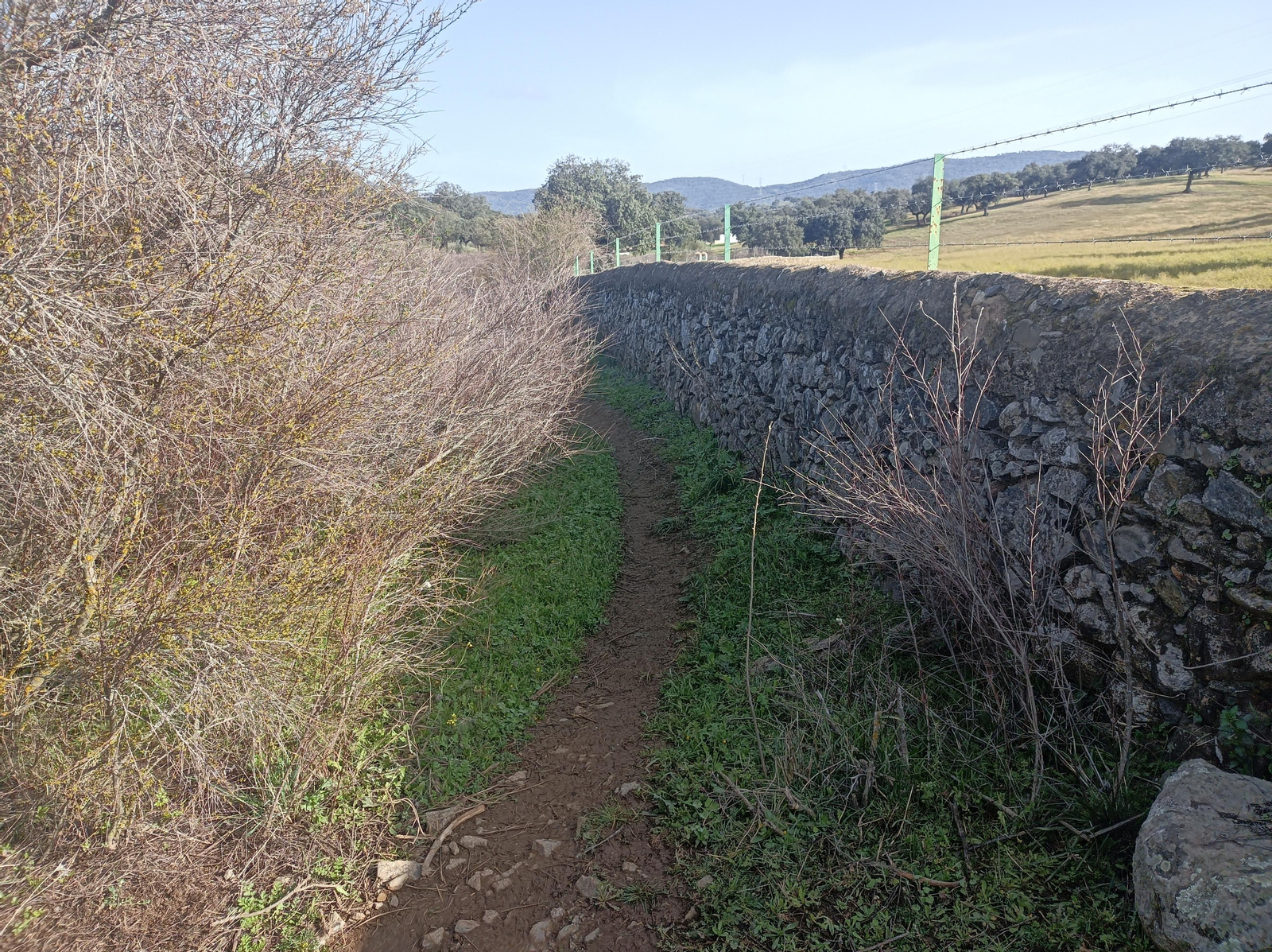 Fotos de la georruta de La Lobera