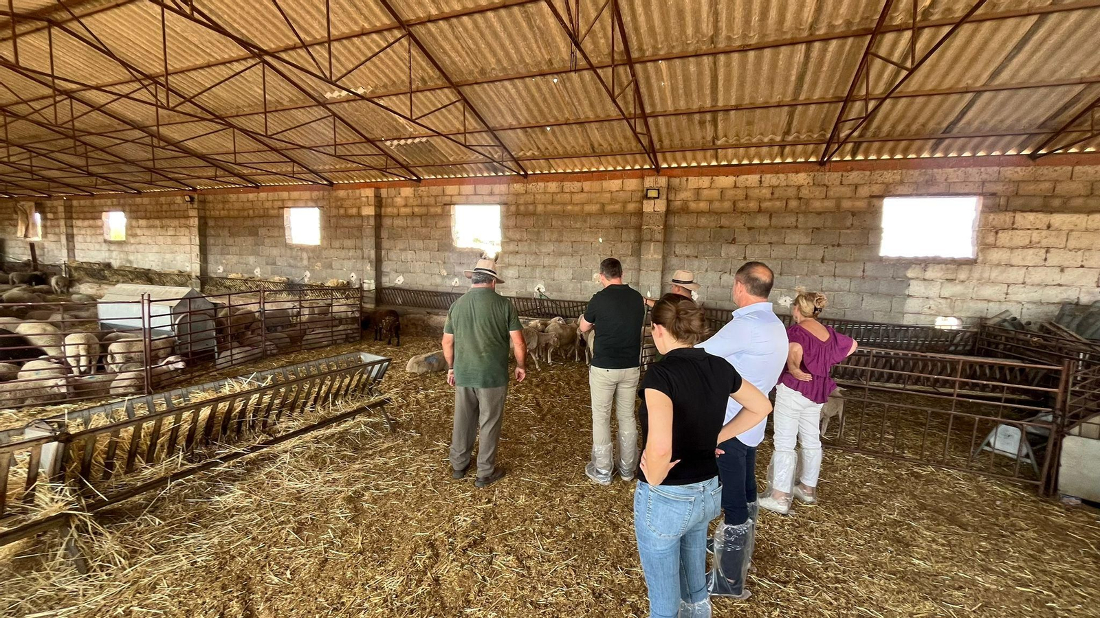Visita del delegado a una explotación ganadera de Los Pedroches