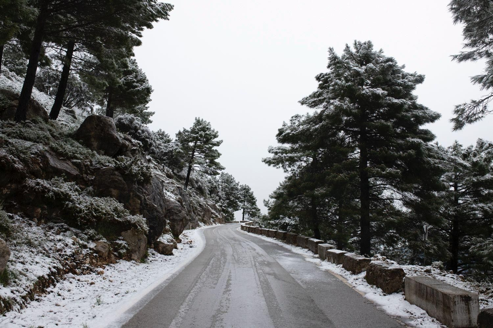Imágenes de nieves en la Sierra de Cádiz este Martes Santo