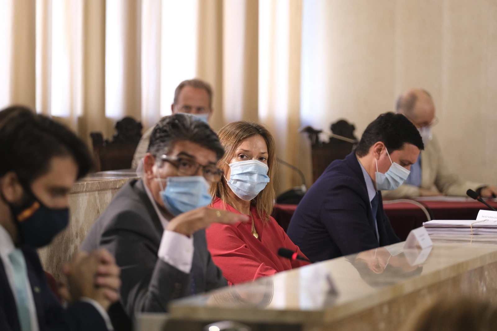 Fotogalería pleno ordinario del Ayuntamiento de Almería