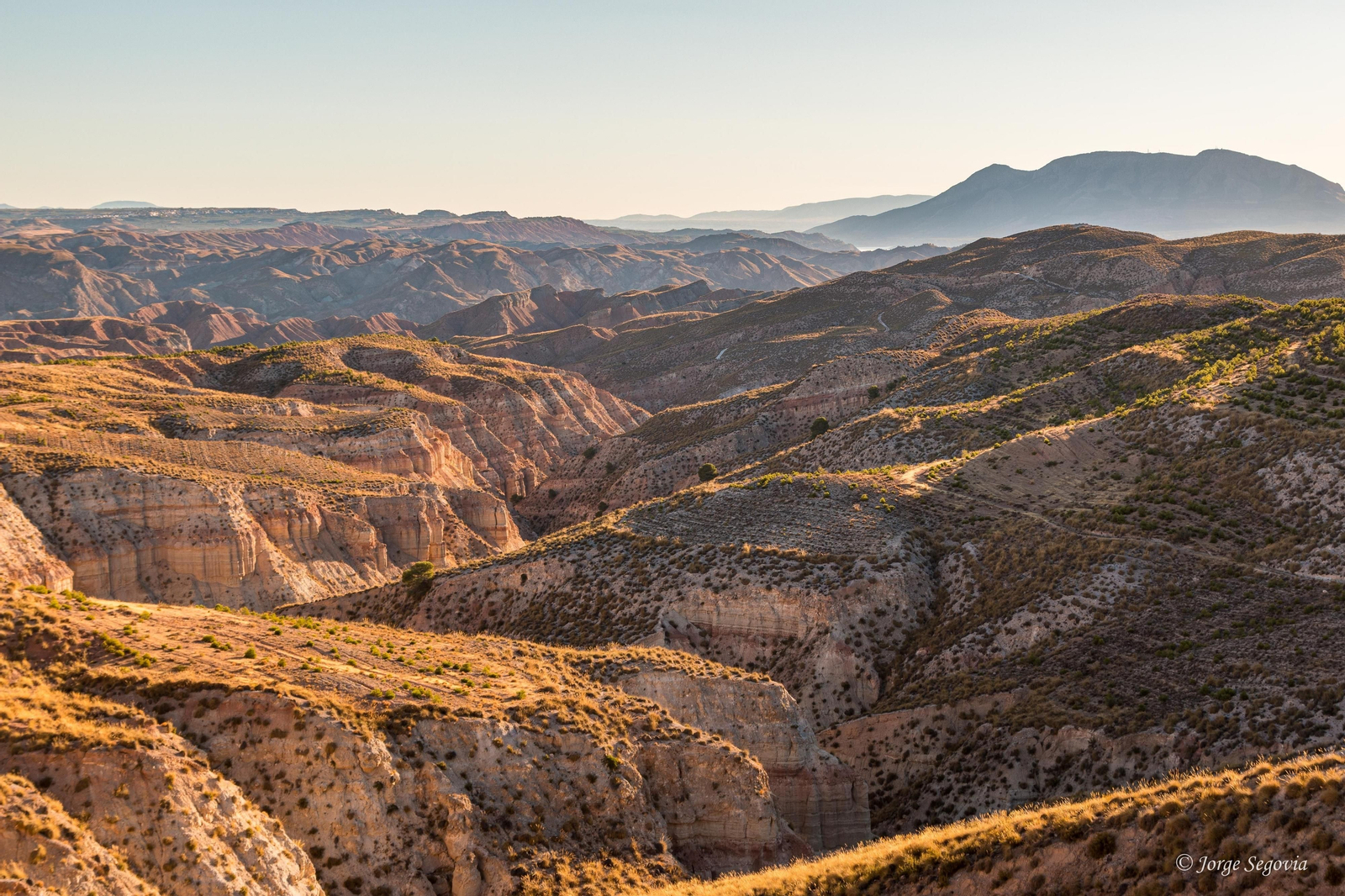 Georuta en el Desierto de Gorafe