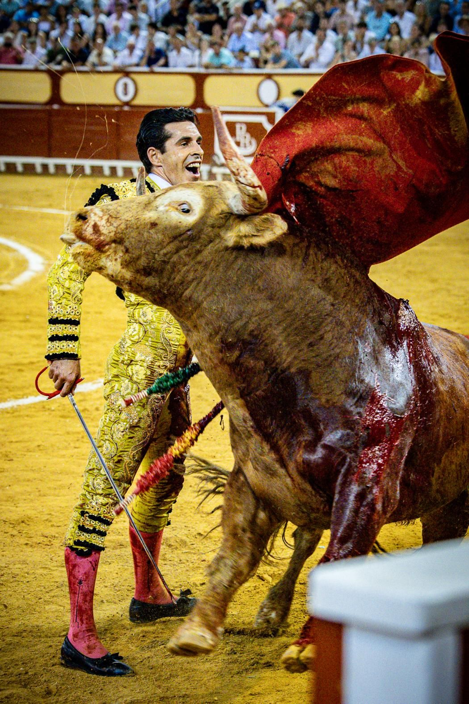 Las imágenes de la corrida de toros en El Puerto: Morante, Talavante y Juan Ortega