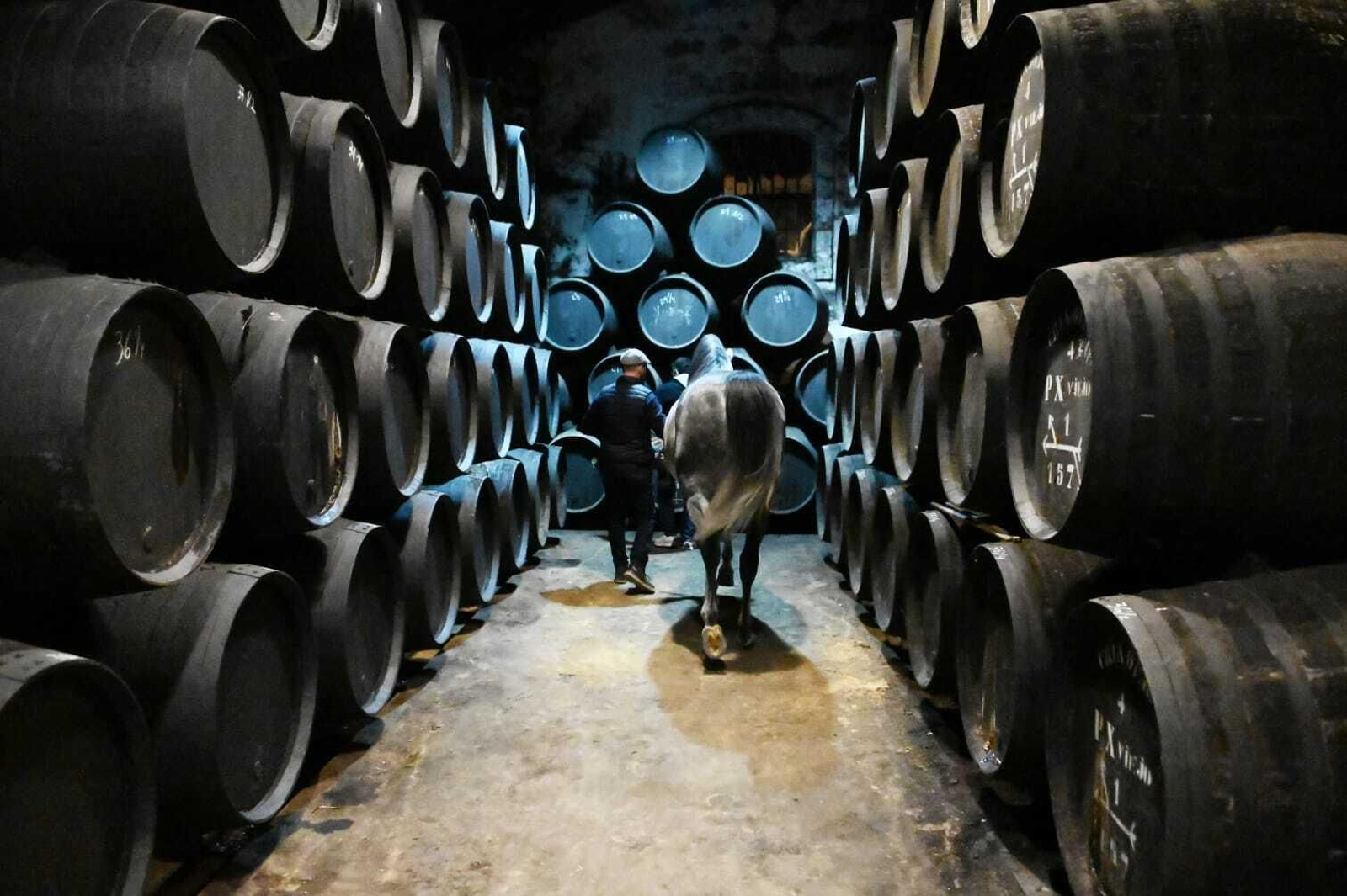 Galería fotográfica del rodaje de 'Siete Jereles'