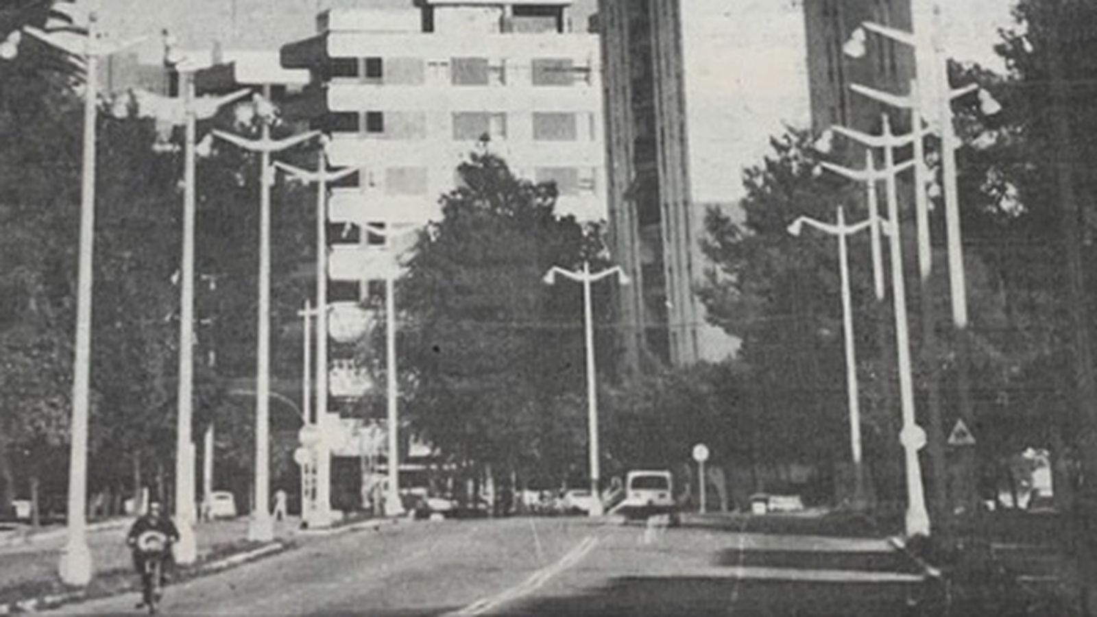 Aspecto de la Avenida en 1895