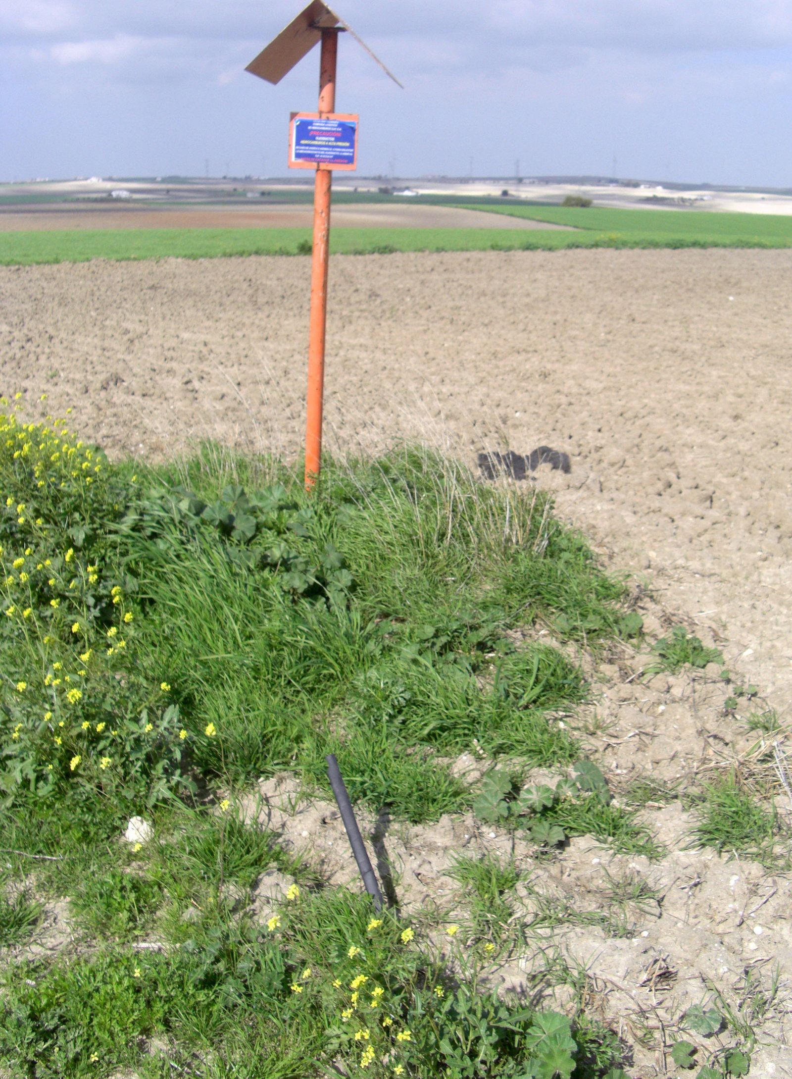 Los ladrones perforaron el oleoducto en esta zona de El Puerto de Santa María conectando latiguillos de presión.