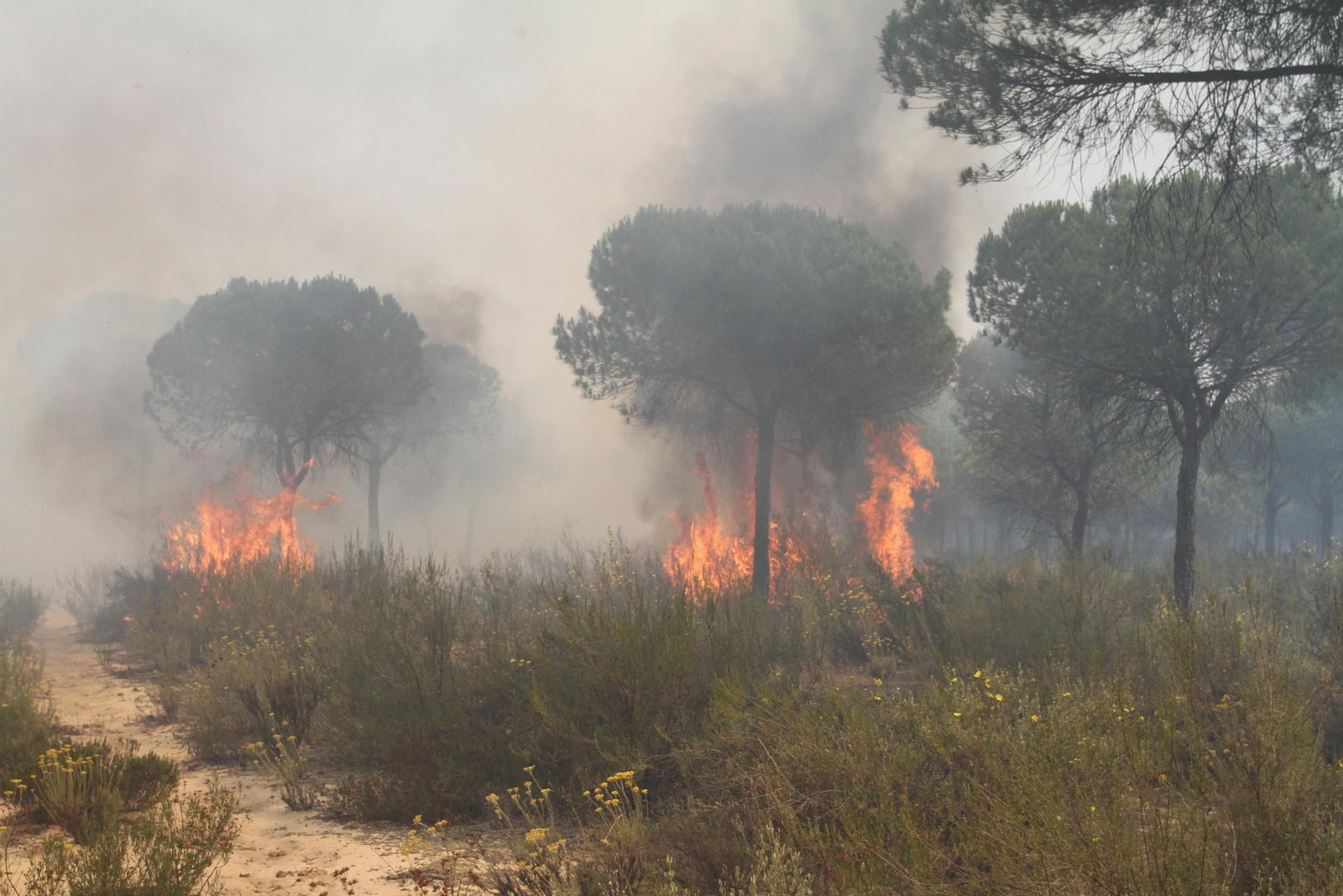 Las imágenes del incendio en Moguer y Mazagón