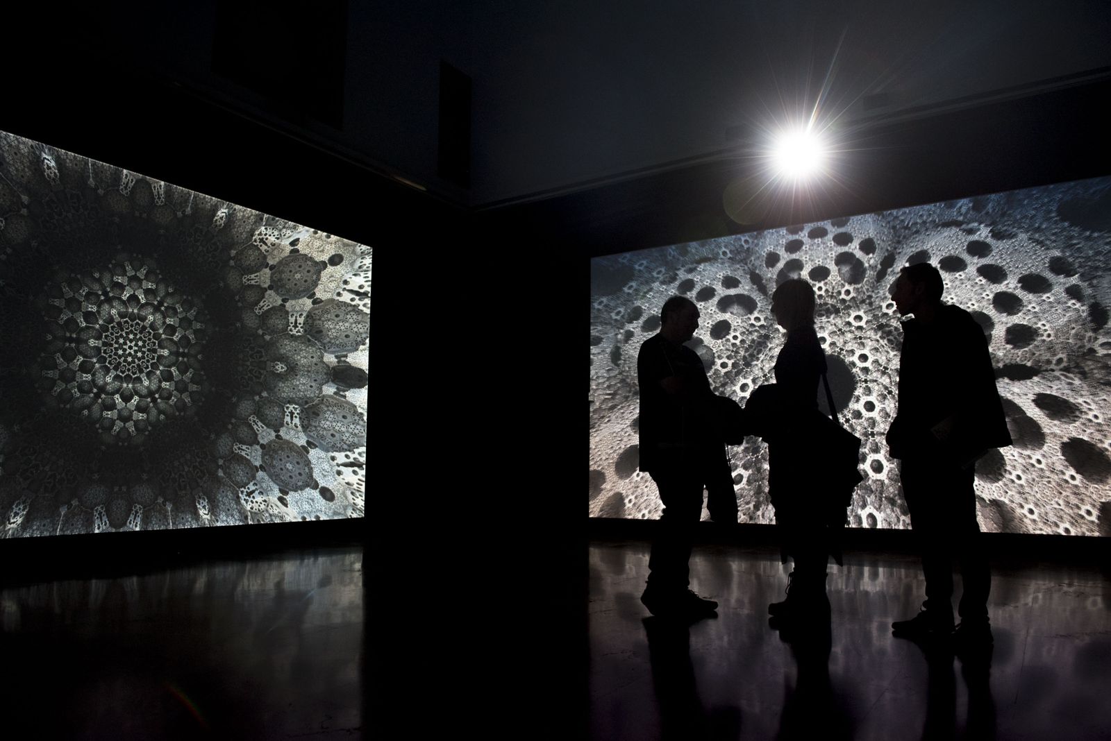 40 artistas participan en esta muestra.