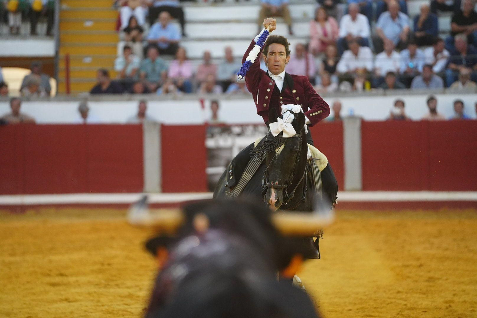 Las mejores fotos de la faena triunfal de Andy Cartagena, Leonardo y Lea Vicens en Pozoblanco Las mejores fotos de la faena triunfal de Andy Cartagena, Leonardo y Lea Vicens en Pozoblanco