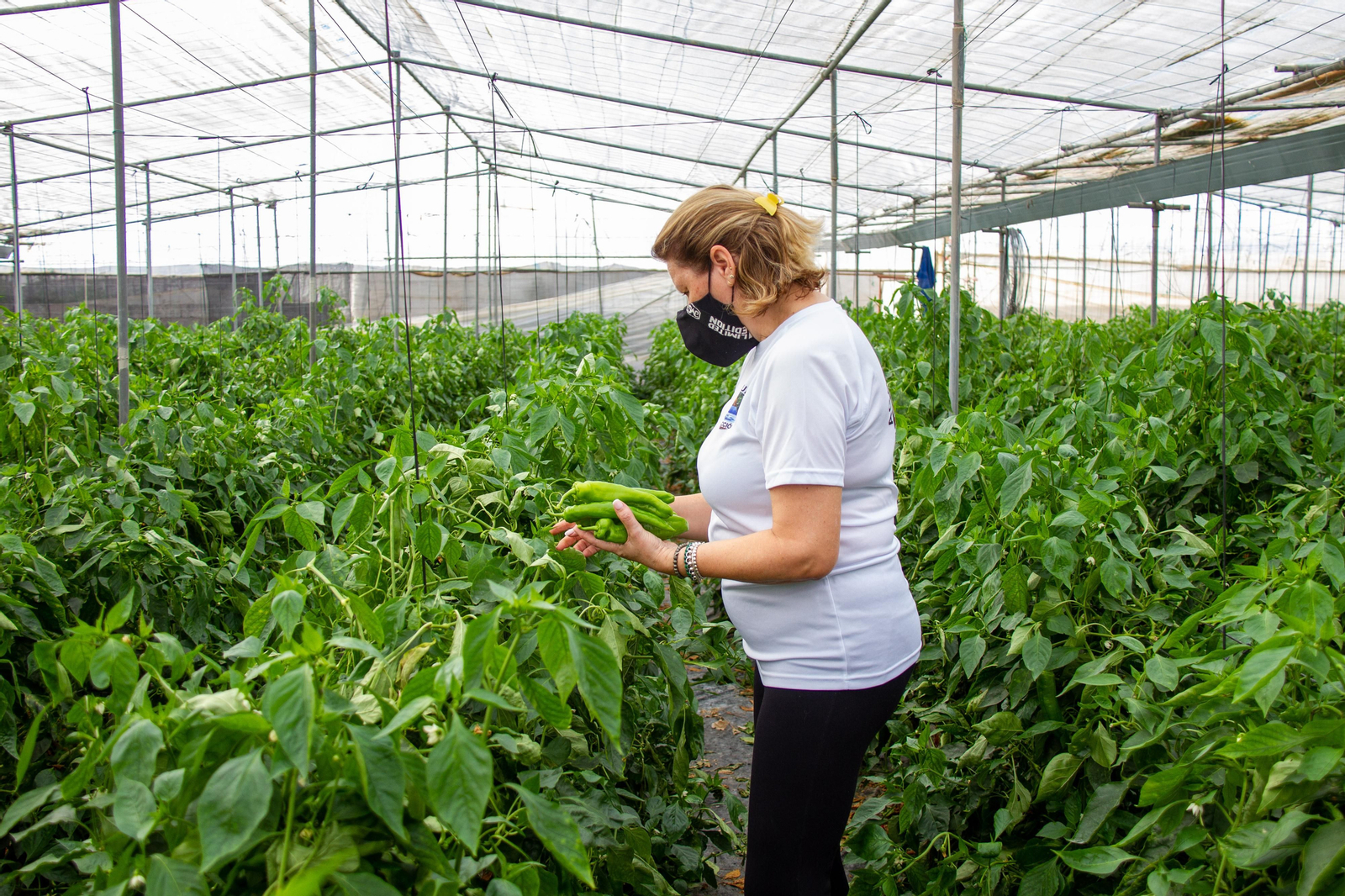 Agricultores de Granada se muestran preocupados y esperanzados con las negociaciones de la PAC