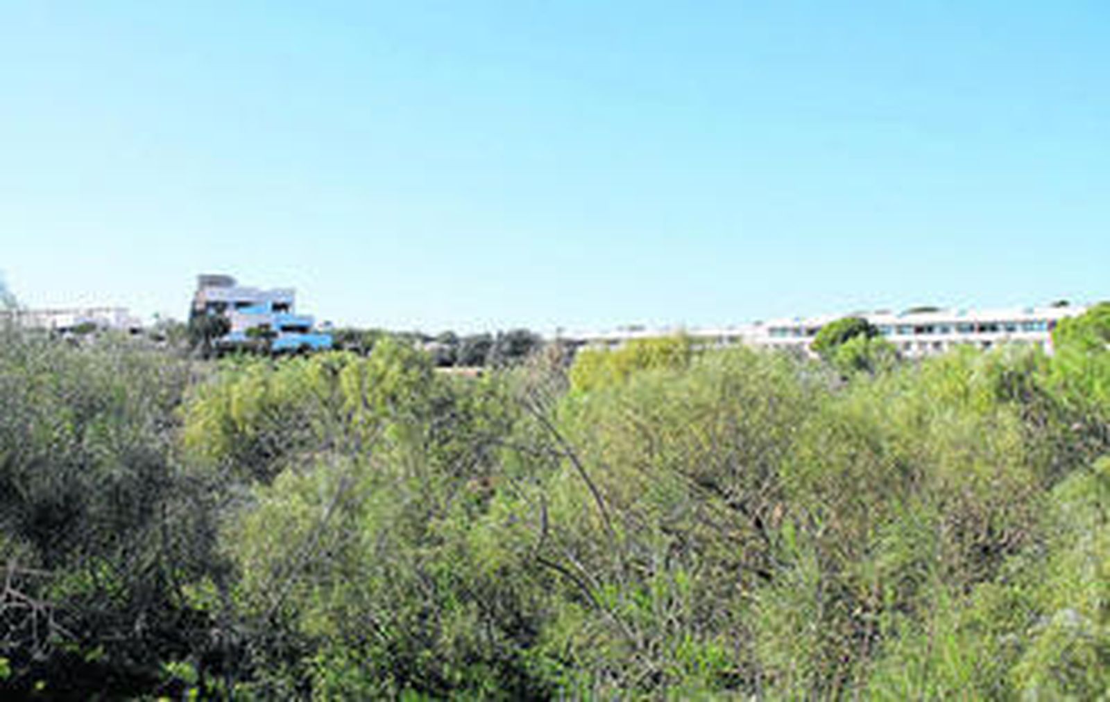 Terrenos del PAU-CO1 Golf Vistahermosa 2, en El Puerto, un expediente cuya tramitación ha dado origen a la denuncia.