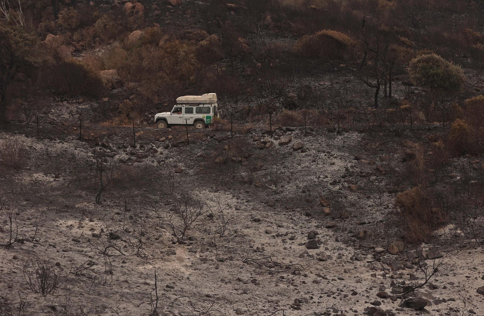 Fotos de los efectos del incendio en el Puerto del Laurel en Algeciras