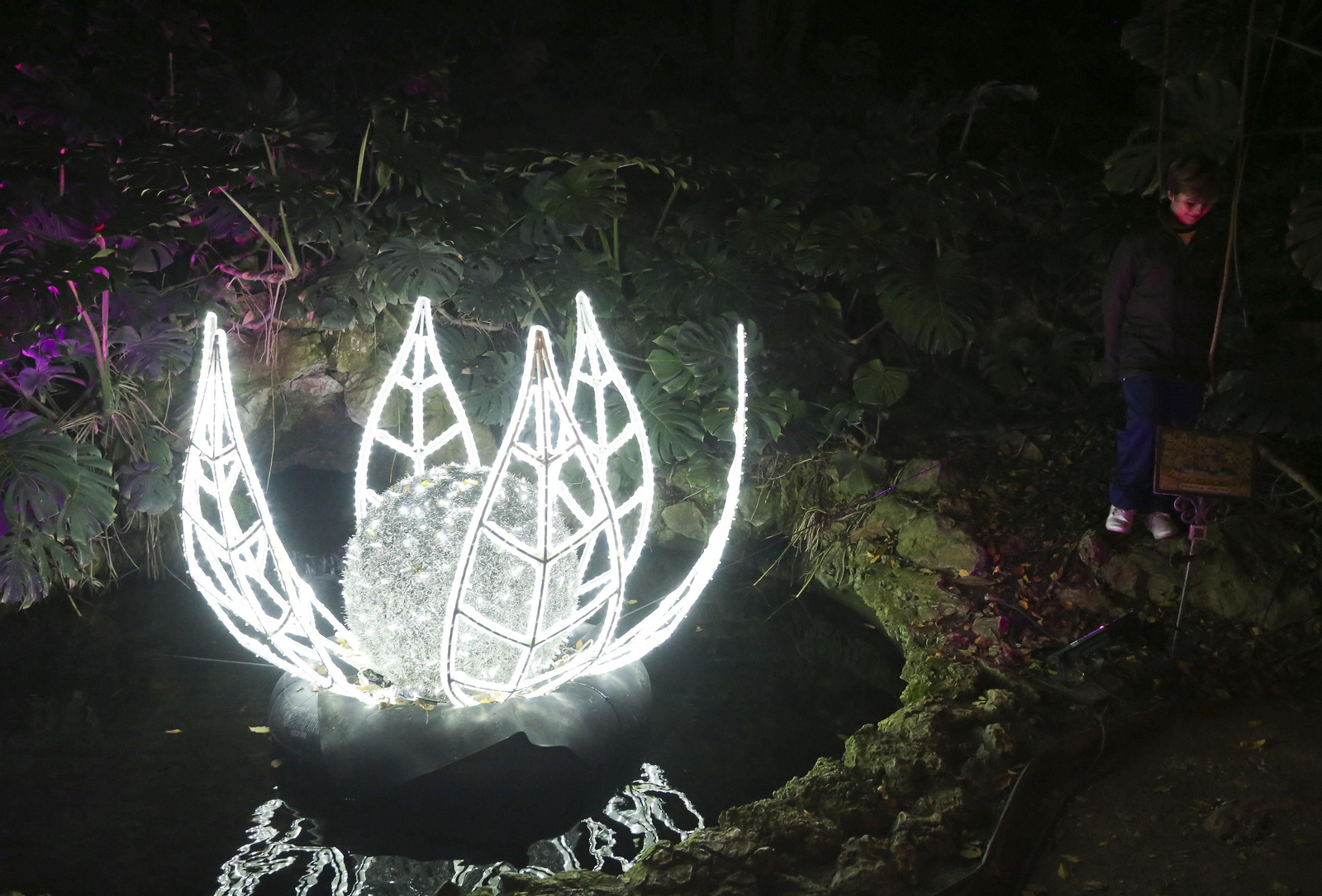 Las luces del Jardín Botánico de Málaga esta Navidad, en fotos