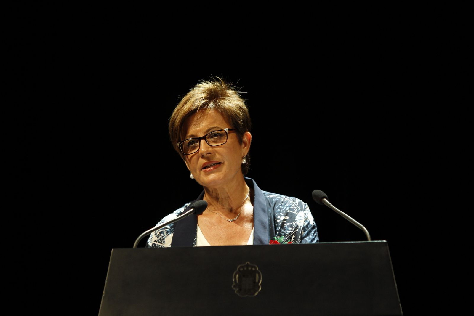 Fotogalería Pleno Constitución Ayuntamiento de Almería