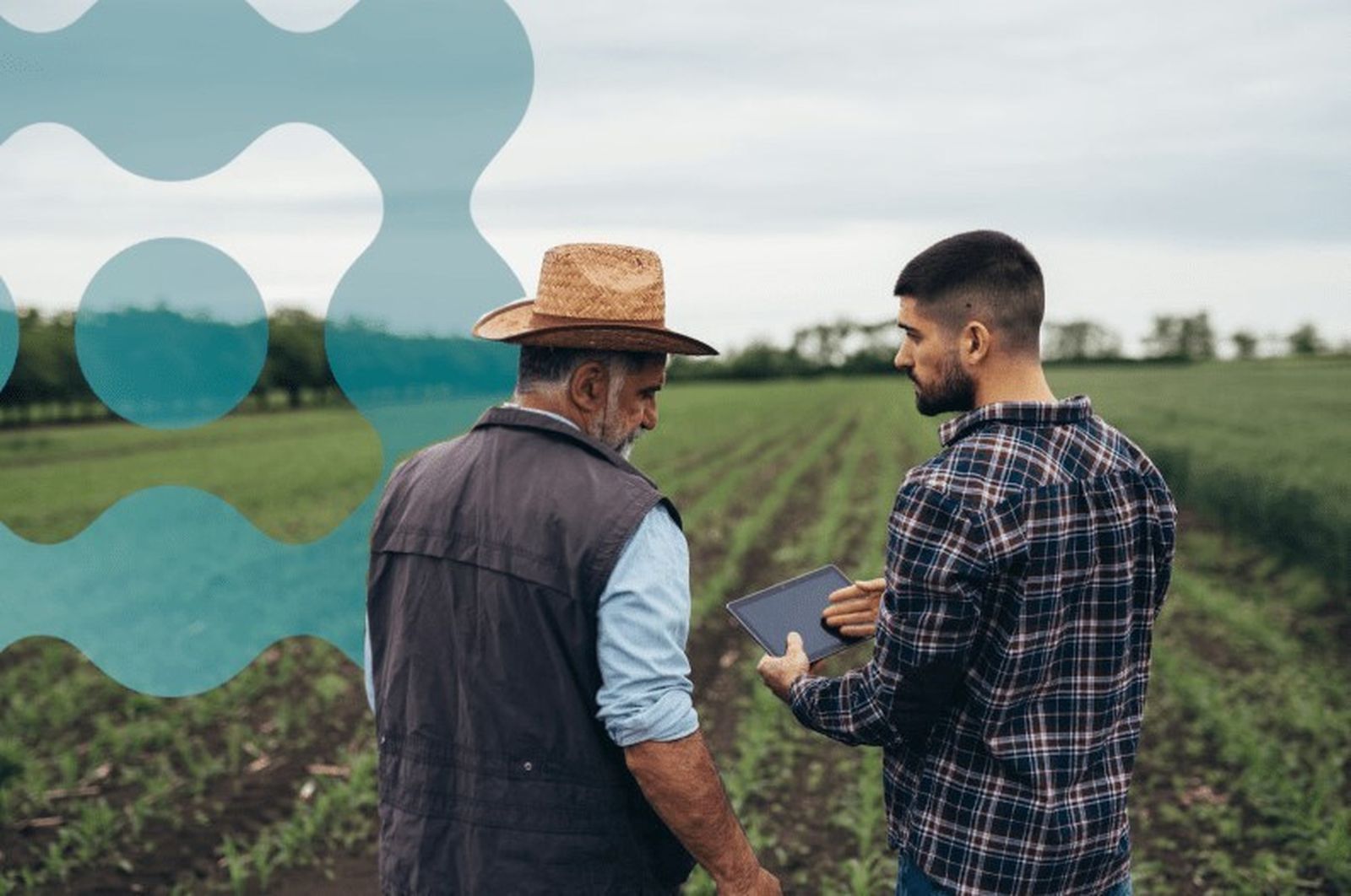 Agrosales, herramienta creada por Hispatec.