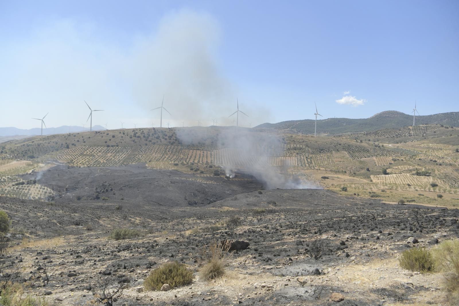 El incendio en el parque eólico de Padul, en fotos