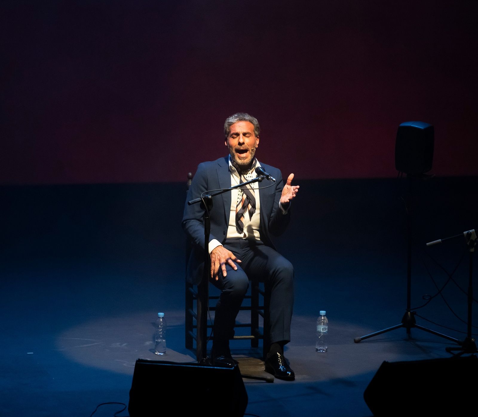 El Festival Flamenco Madrid se convierte en un éxito de asistencia