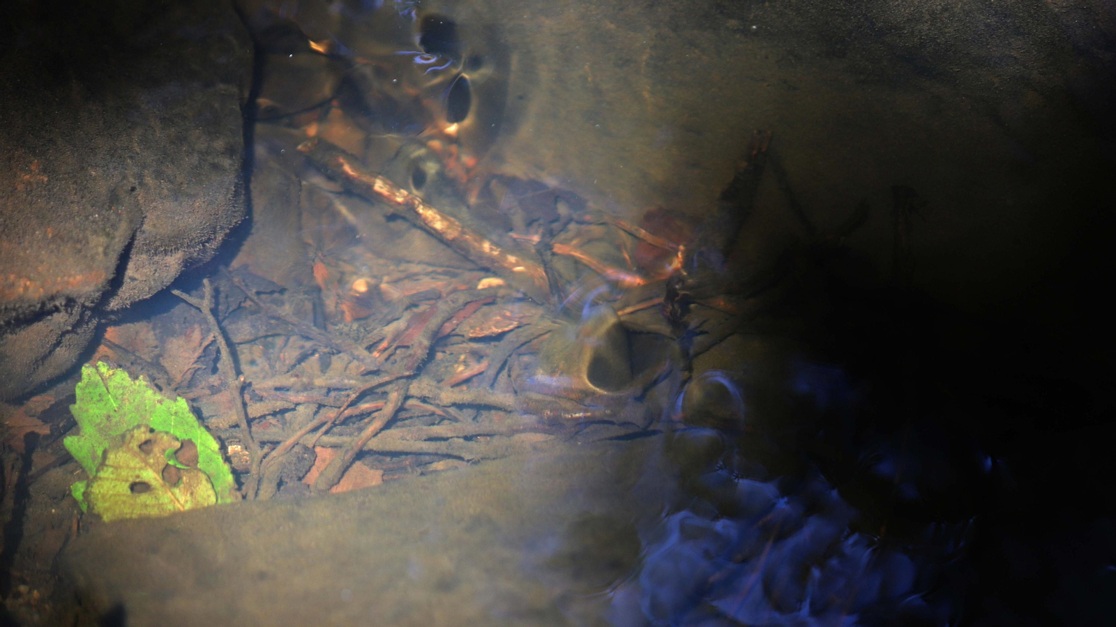 Las mejores fotos de la Montera del Torero y Valdeinfierno