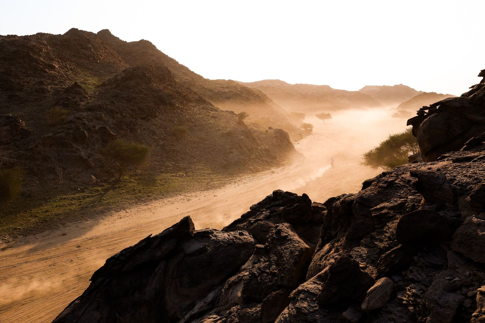 Las mejores fotos del Rally Dakar | Primera etapa