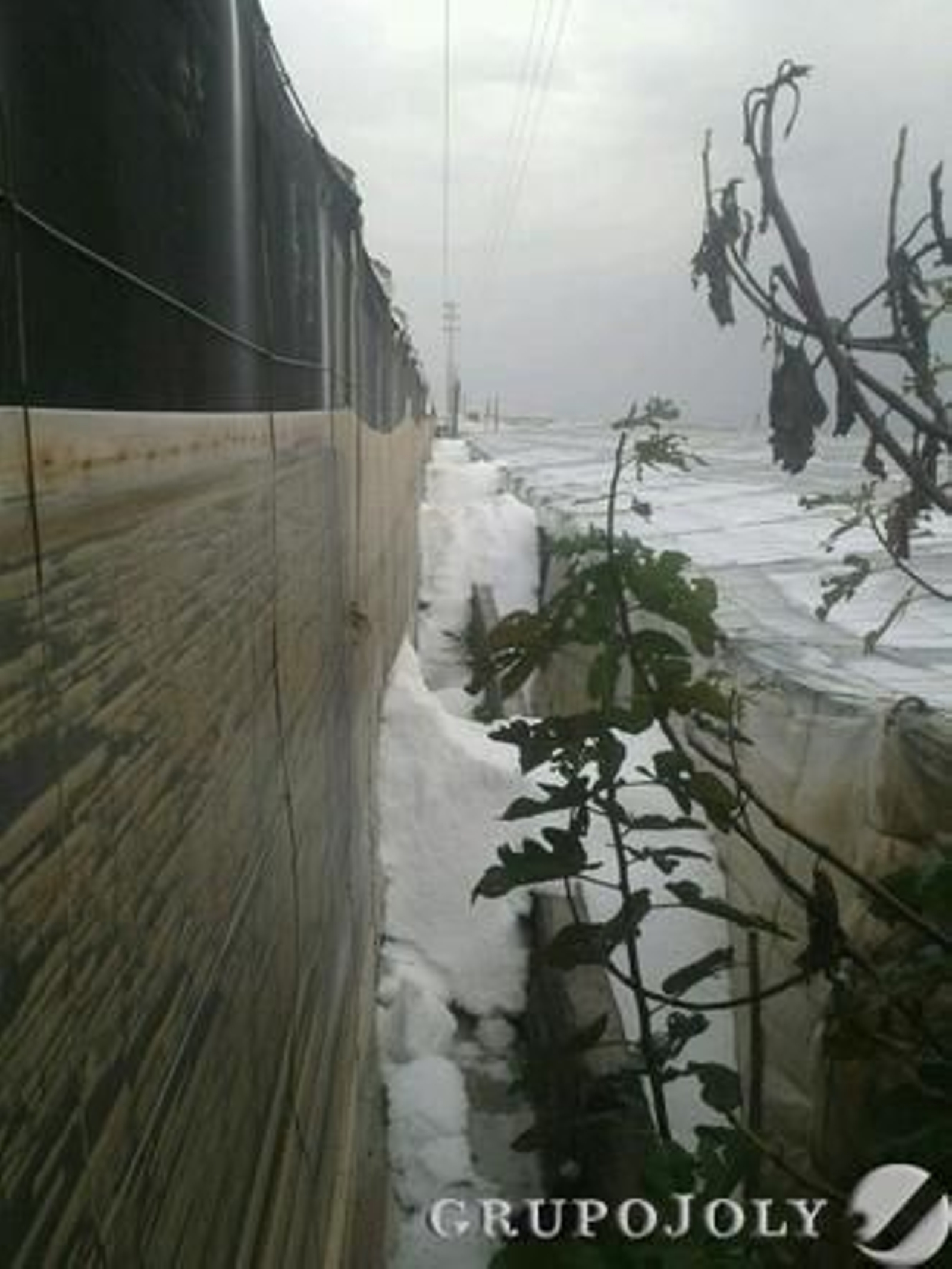 Foto: Diario de Almería