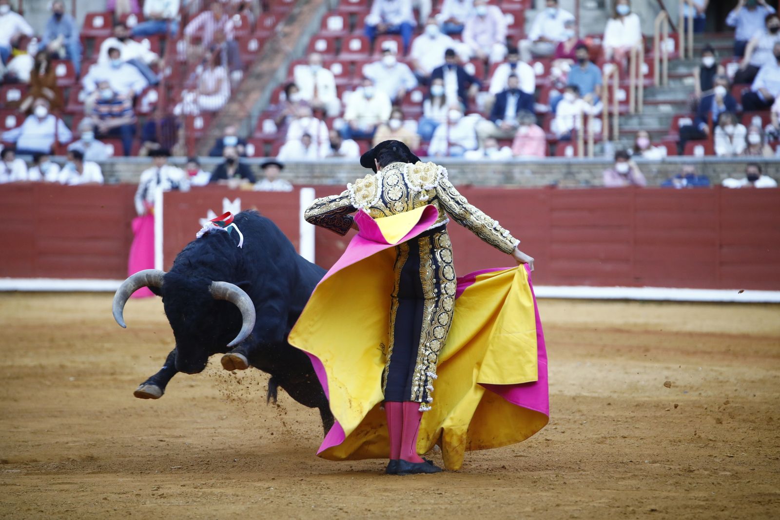Las fotografías de la corrida mixta de la Feria Taurina de Córdoba con Roca Rey, Aguado y Ventura