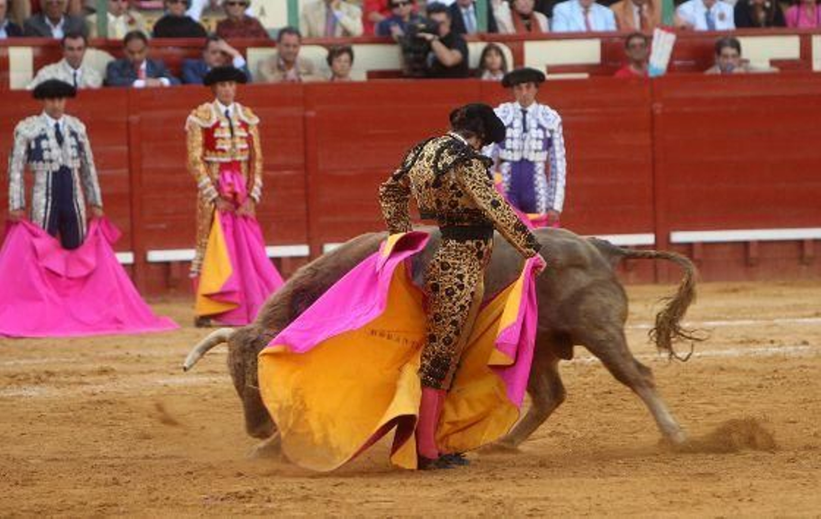 El diestro José Antonio "Morante de la Puebla" protagoniza una actuación magistral, en el cuarto festejo de la Feria del Caballo de Jerez, al cortar dos orejas, que pudieron ser más de haber estado más acertado con los aceros. 

Foto: Juan Carlos Toro