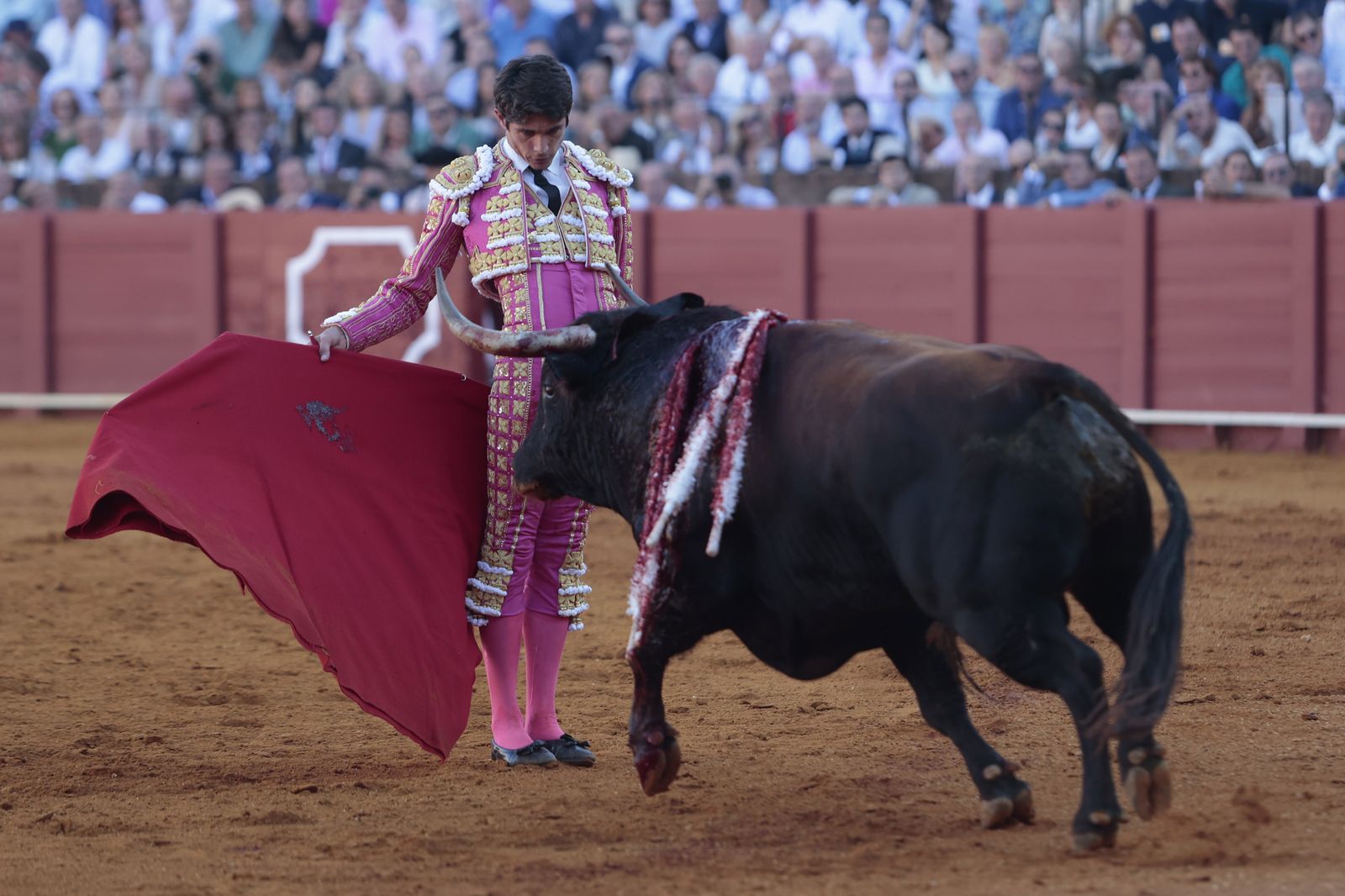 El triunfo de Castella en imágenes