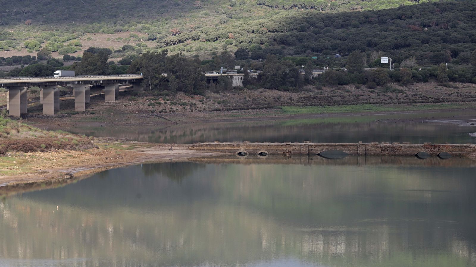 Fotos del pantano de Charco Redondo en Los Barrios